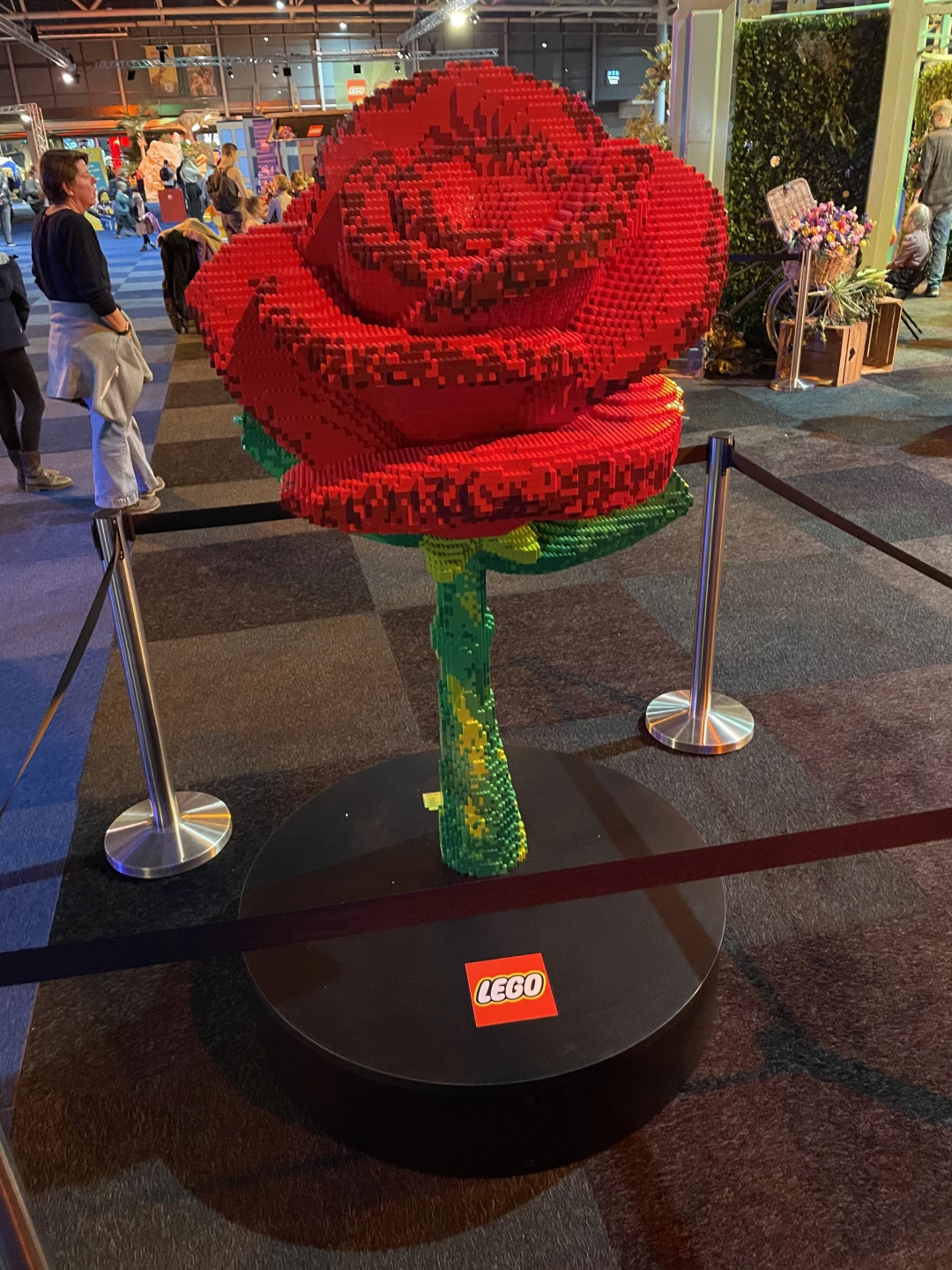 Een gigantische sculptuur van een Roos, instructies onbekend 😁