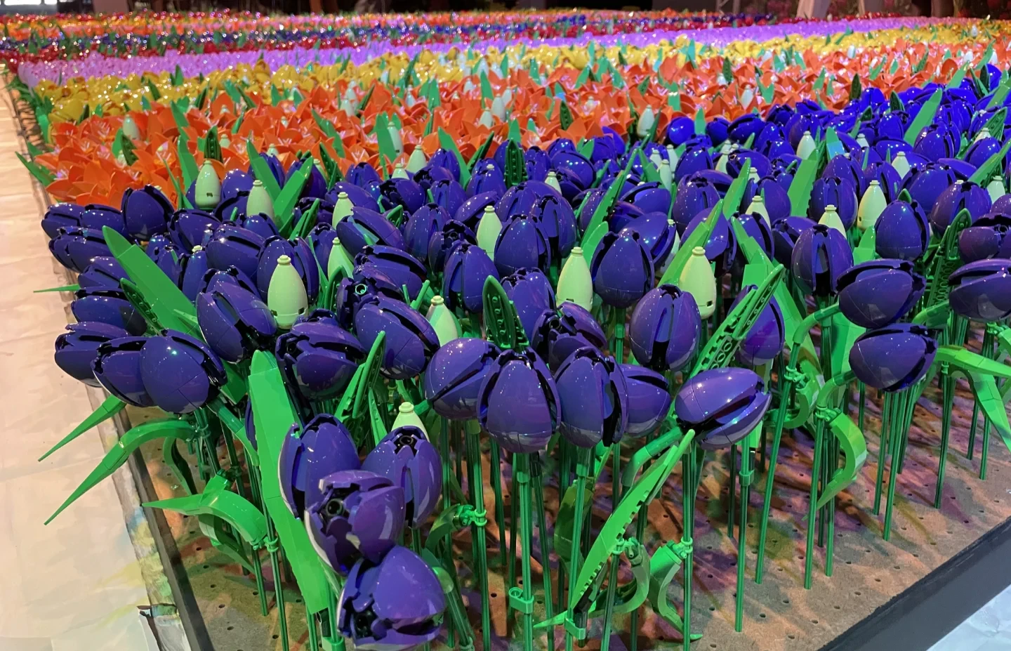 Het tulpen veld met 13.000 LEGO tulpen