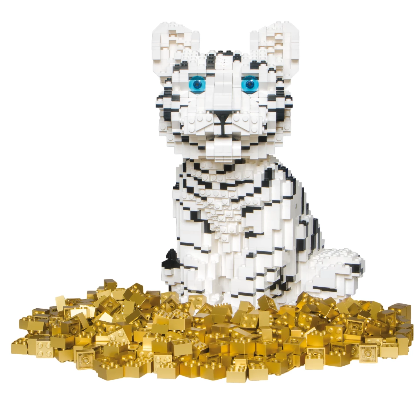 Tijger