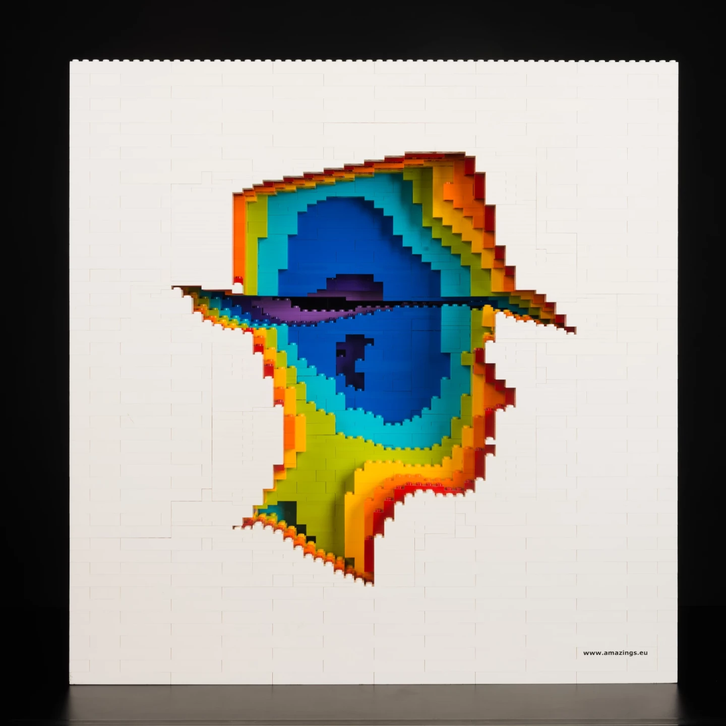 Rainbow head