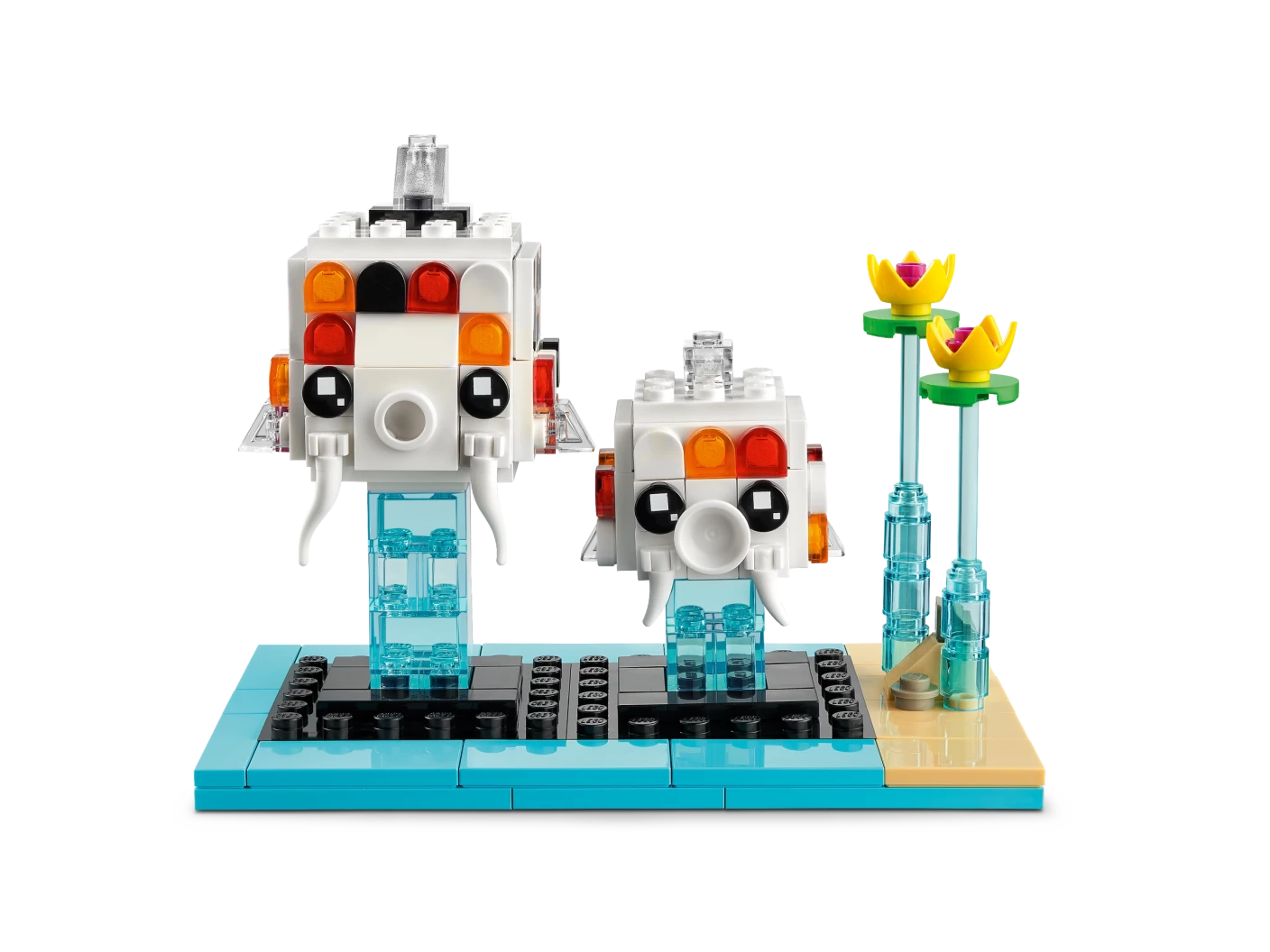 Koi