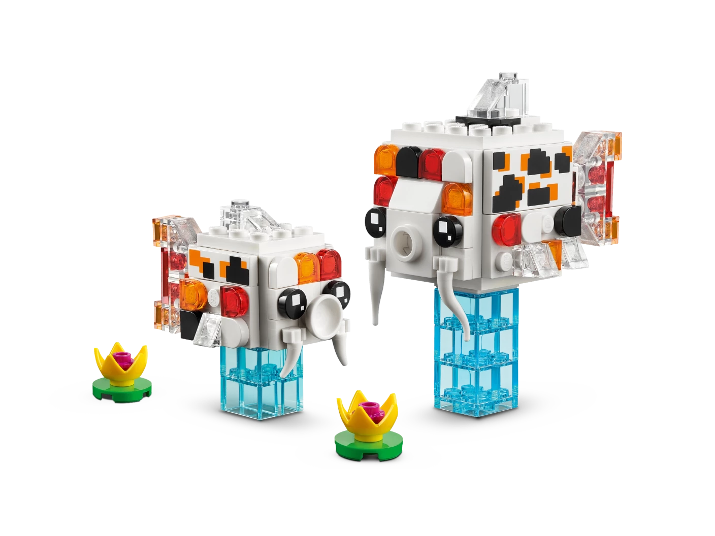 Koi