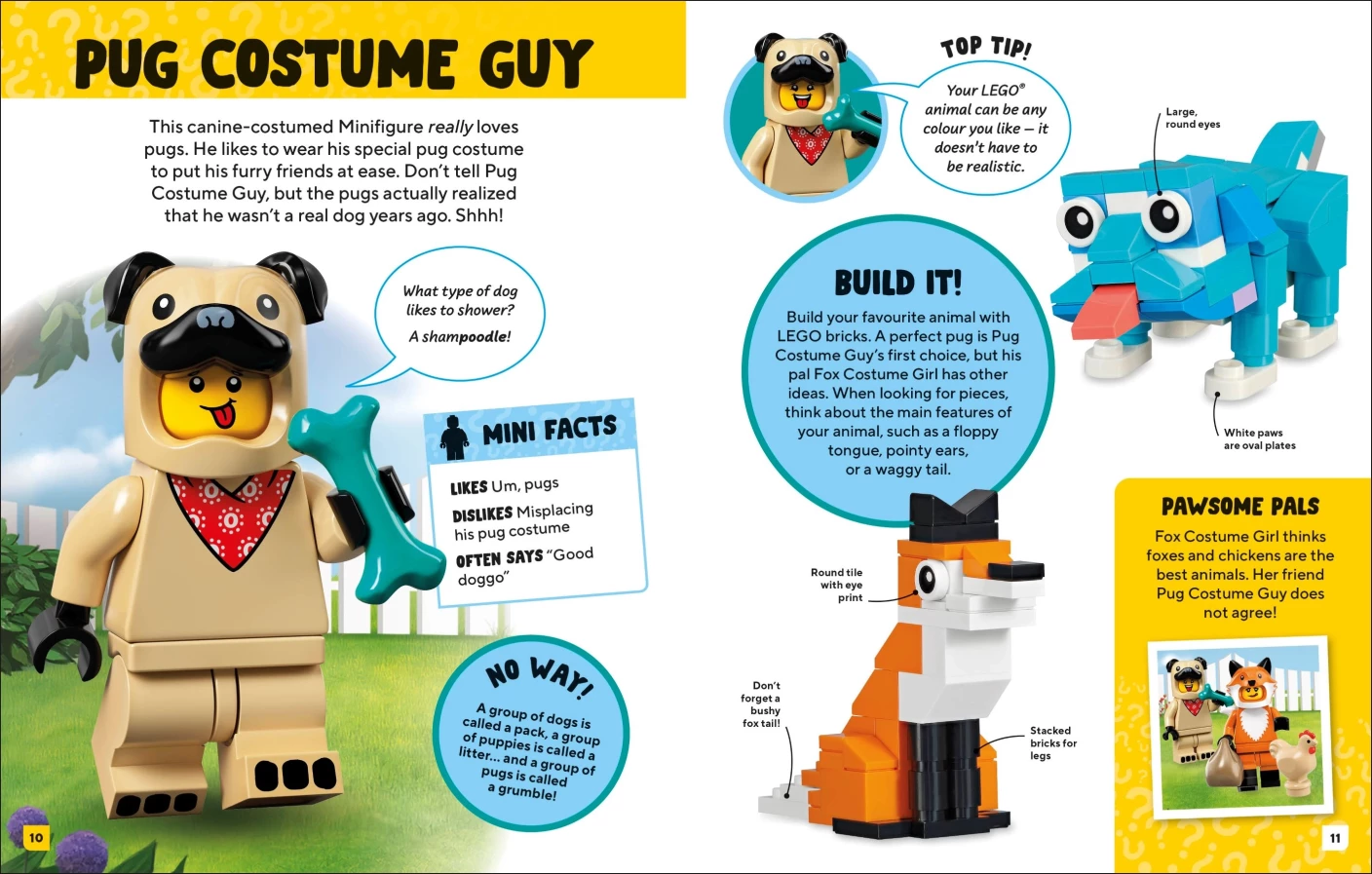 Meet the Minifigures