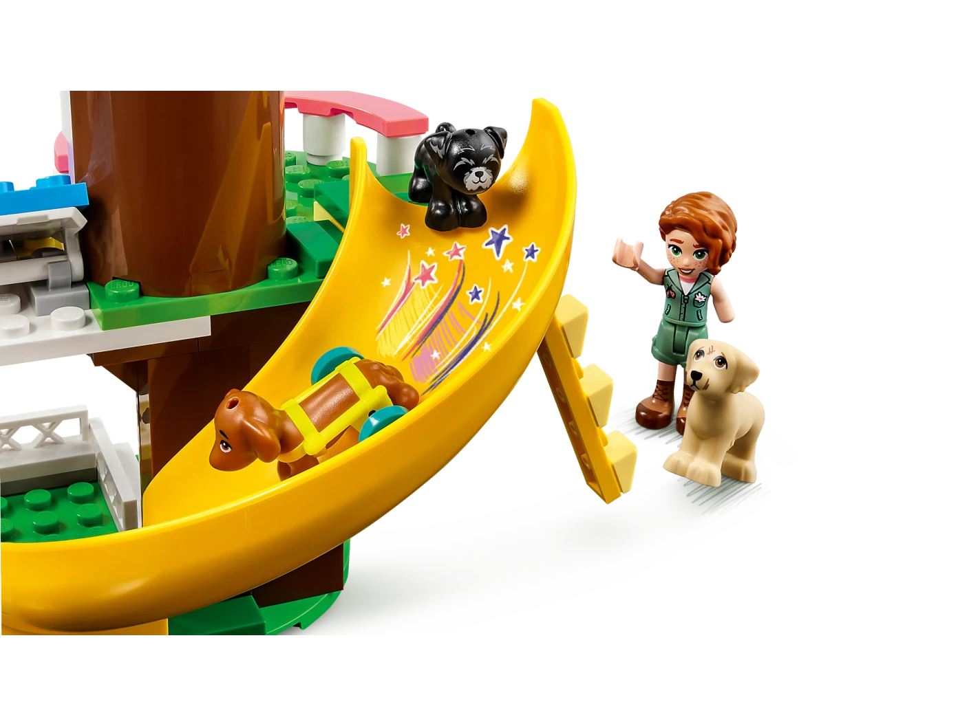 Honden reddingscentrum