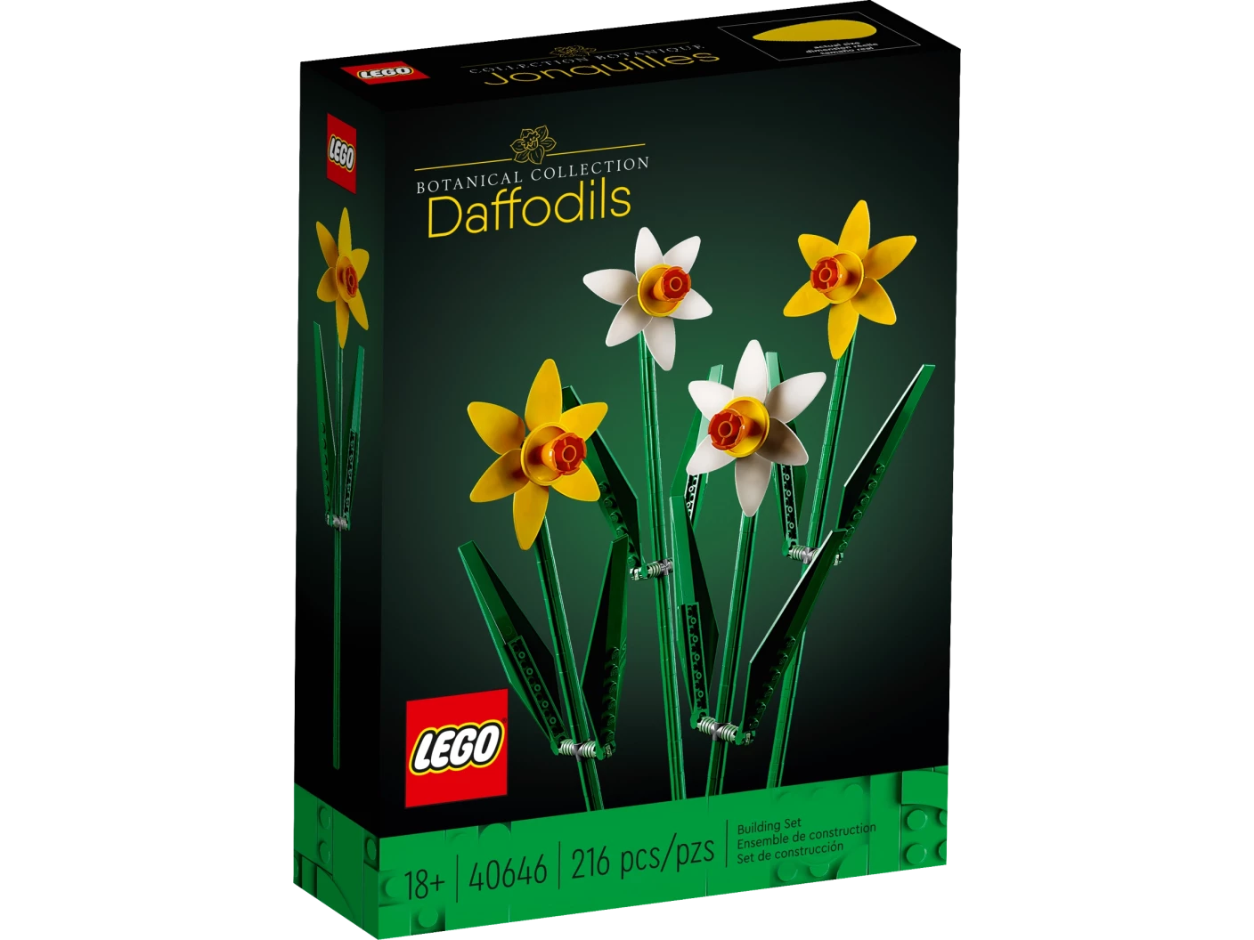 Narcissen