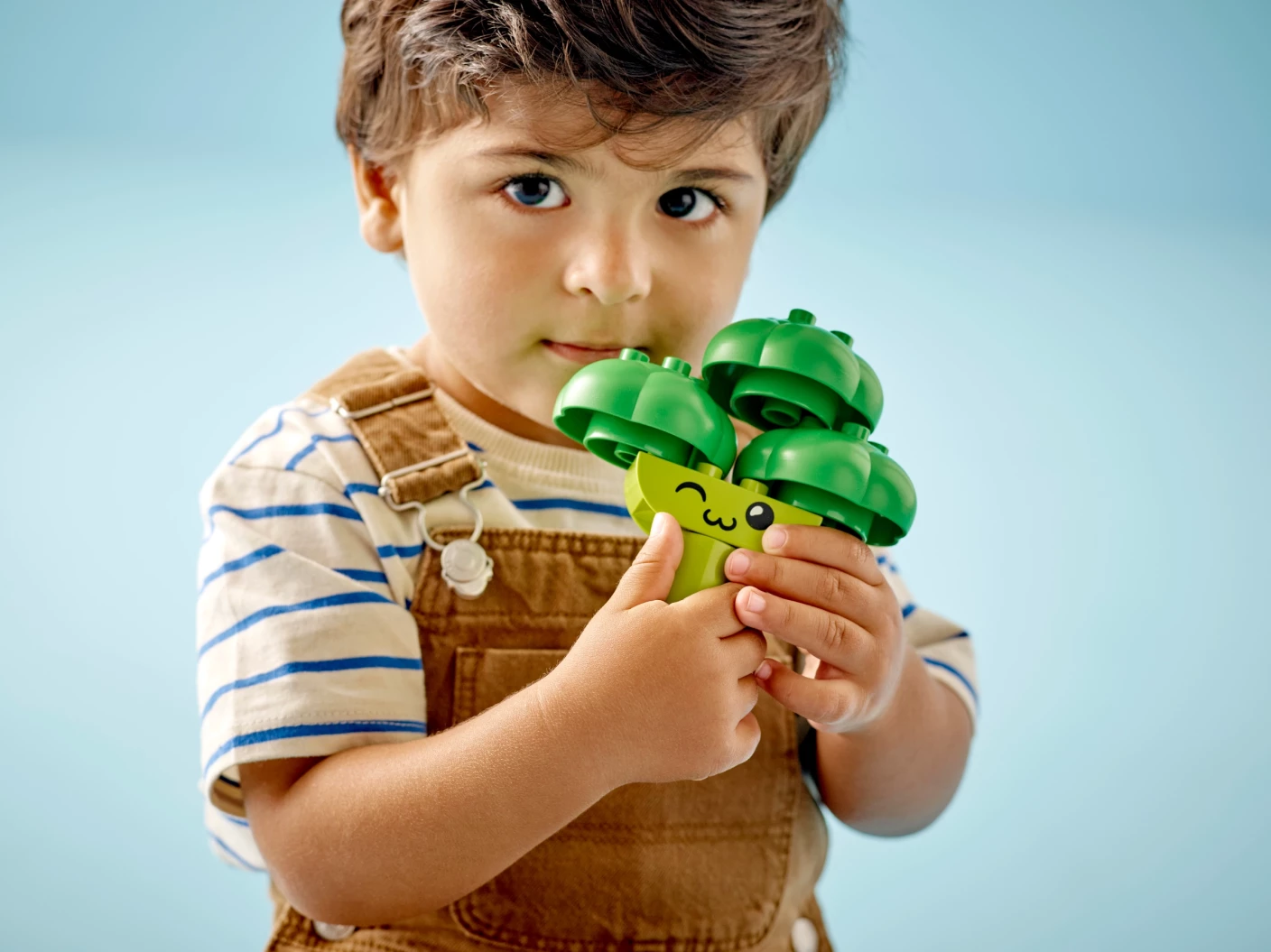 Fruit- en Groentetractor