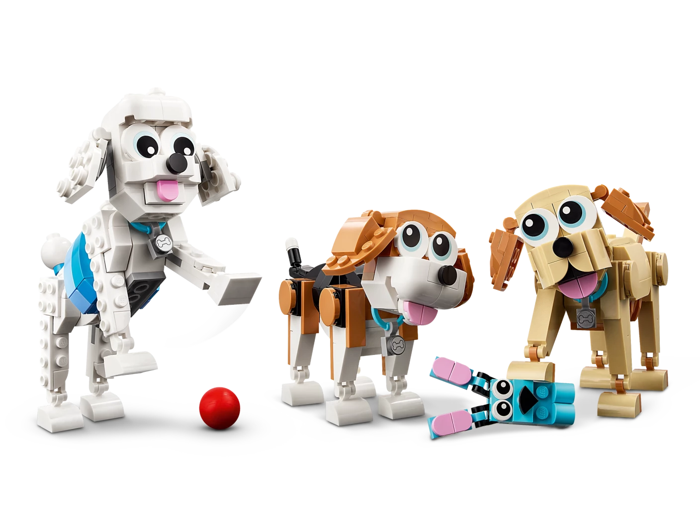 Schattige honden