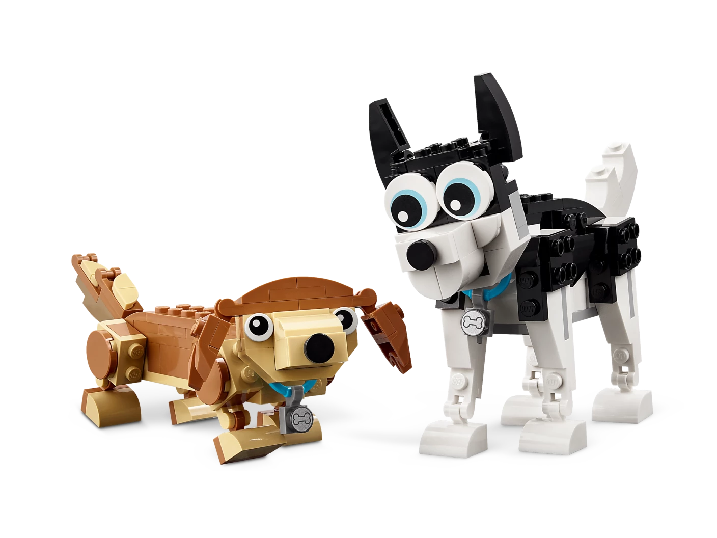 Schattige honden