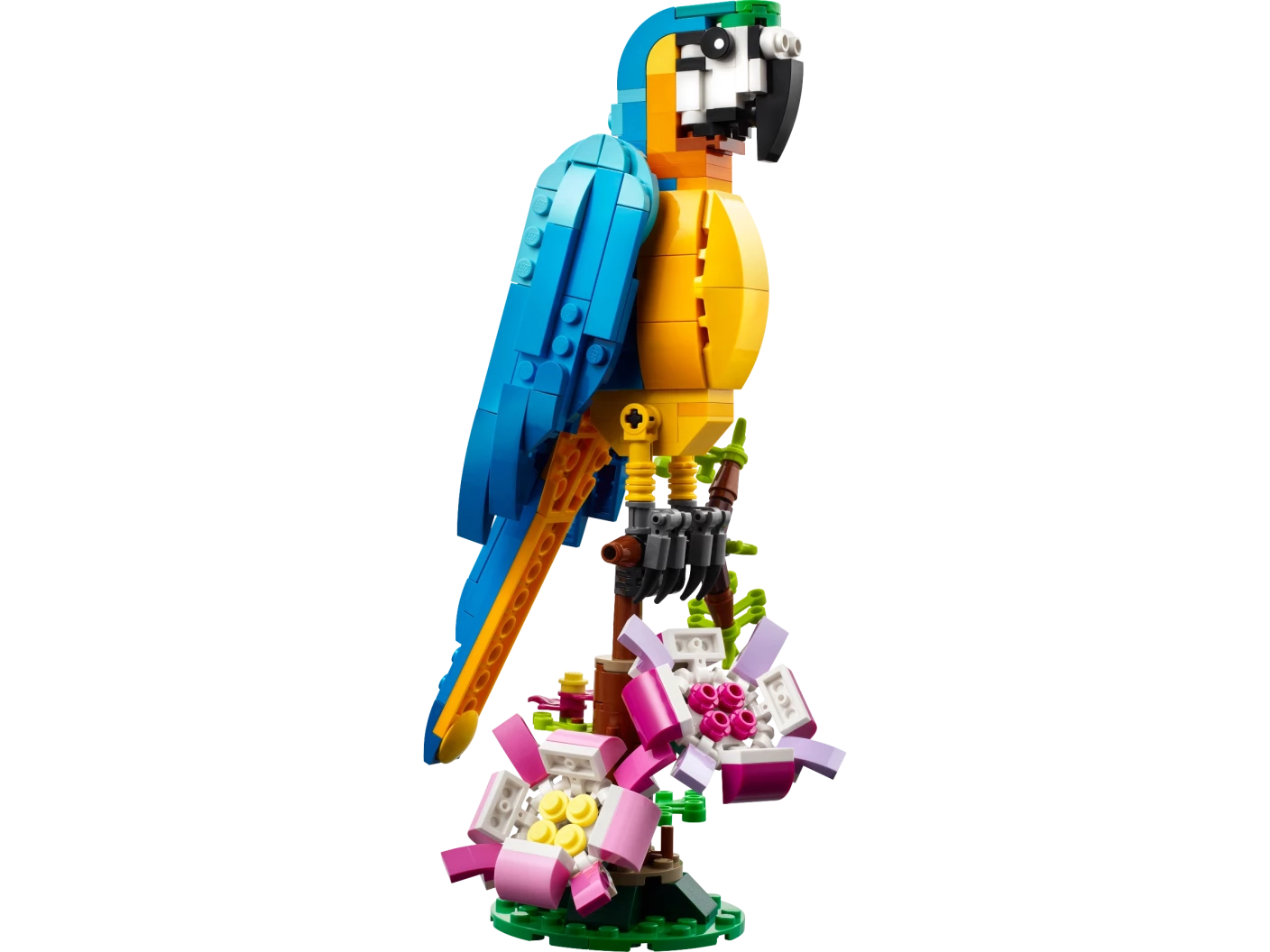 Exotische papegaai