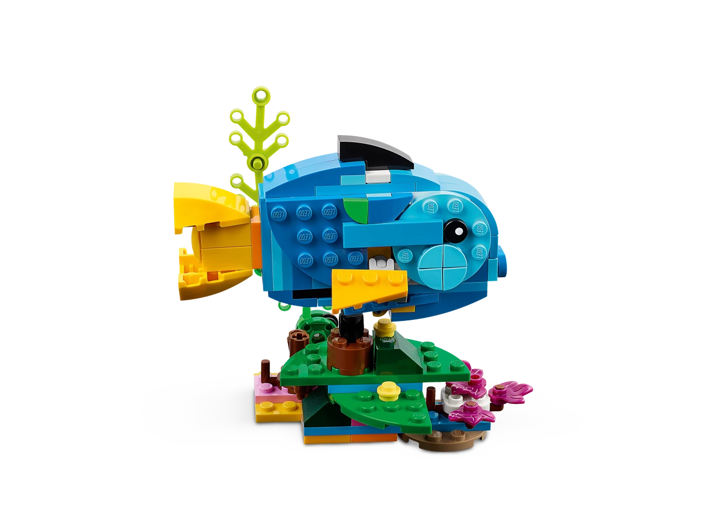 Exotische papegaai