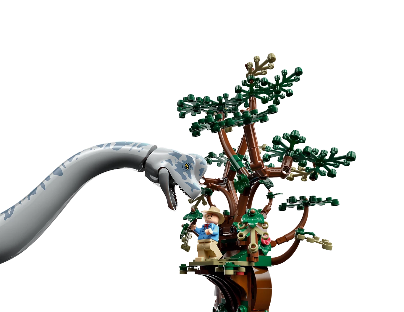 Brachiosaurus ontdekking