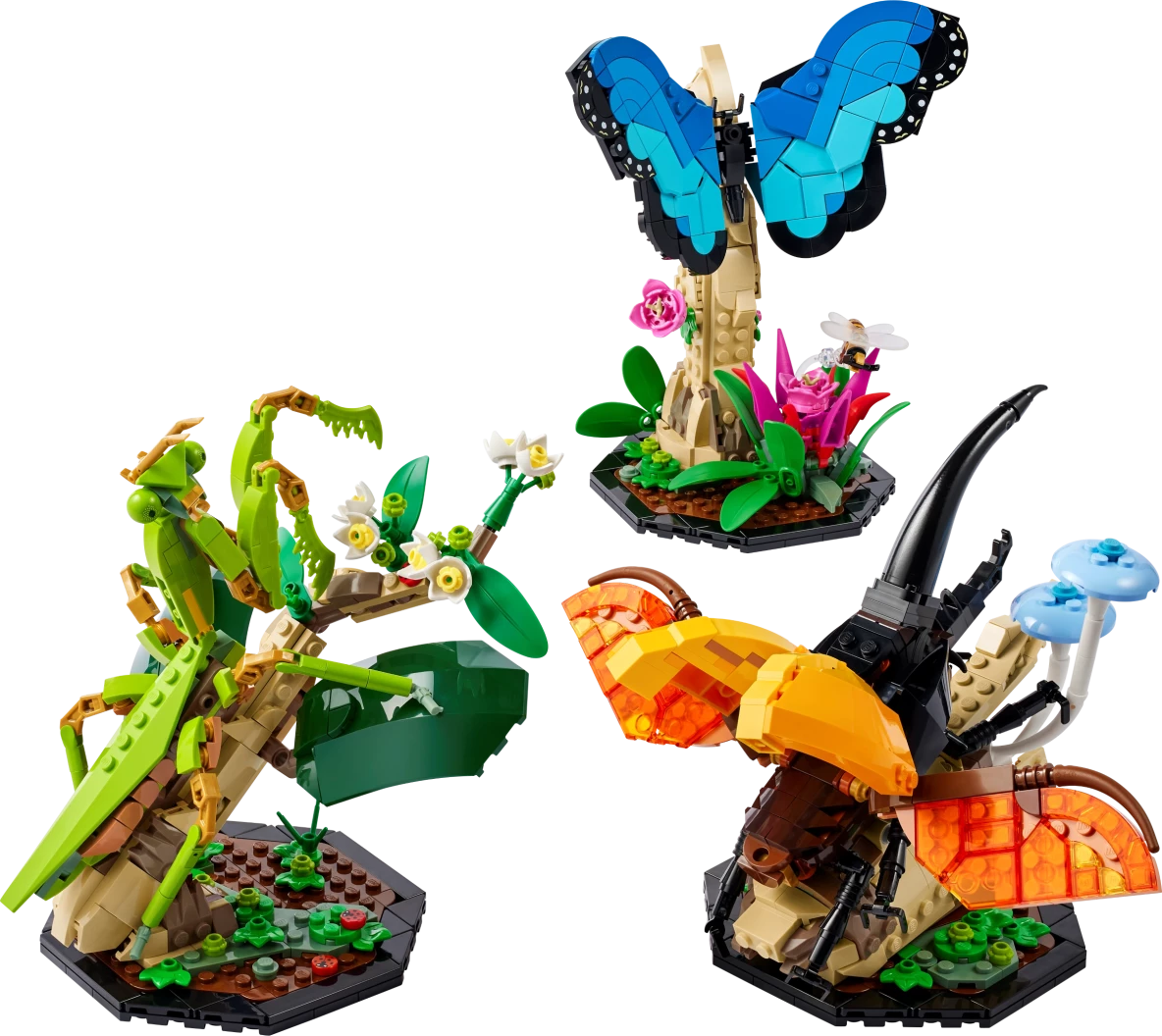 De insectencollectie