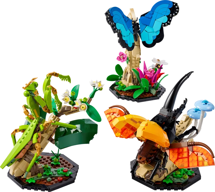 De insectencollectie