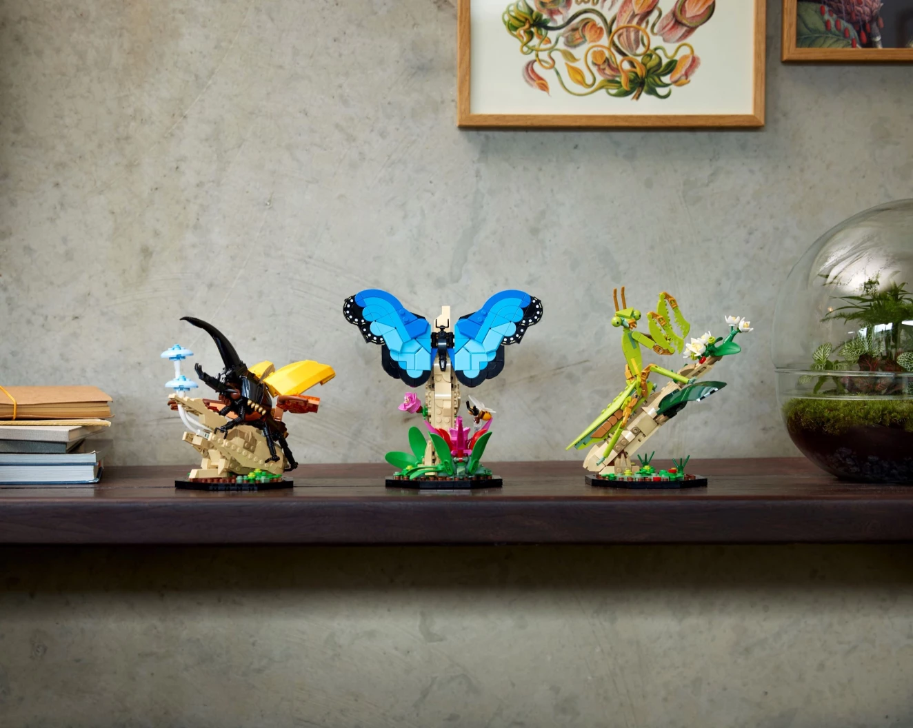 De insectencollectie