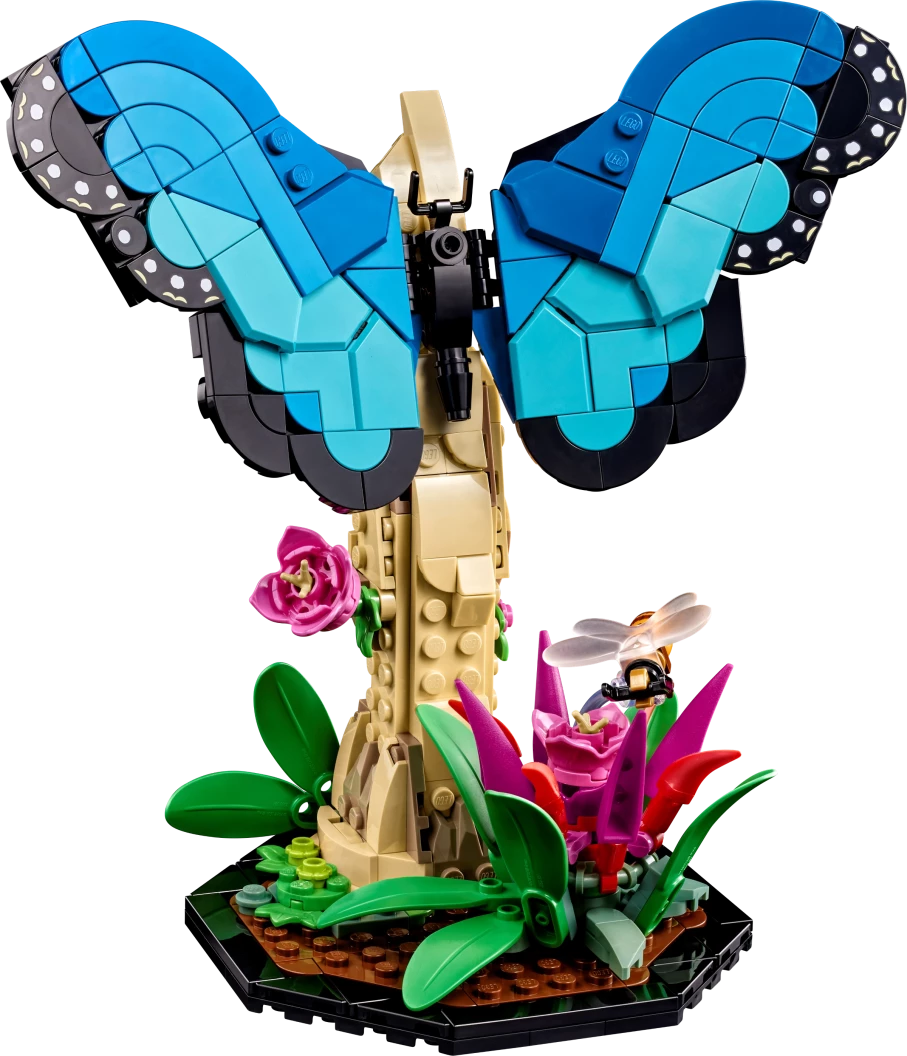 De insectencollectie