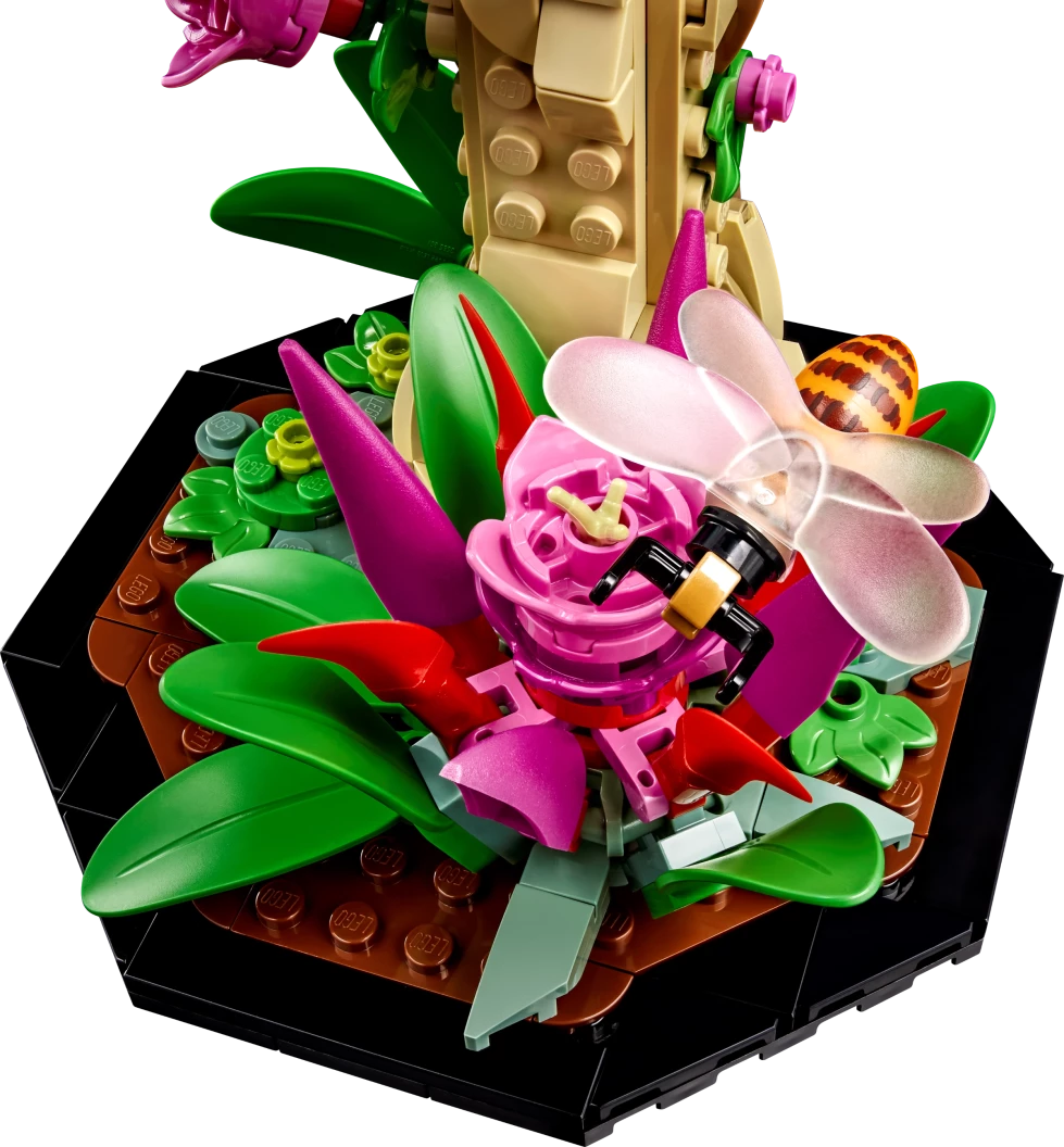 De insectencollectie