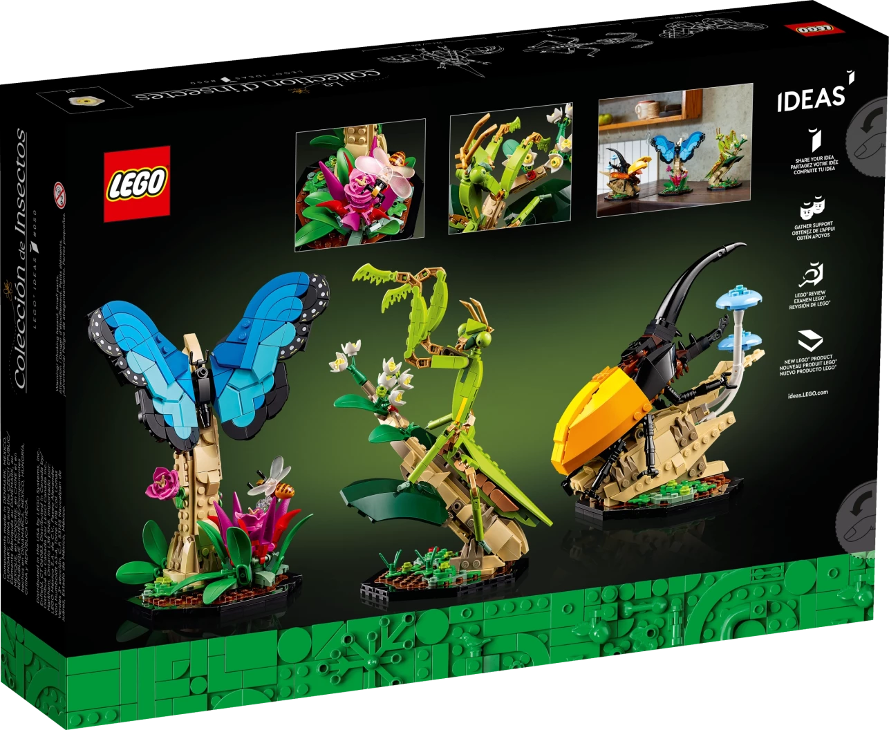De insectencollectie