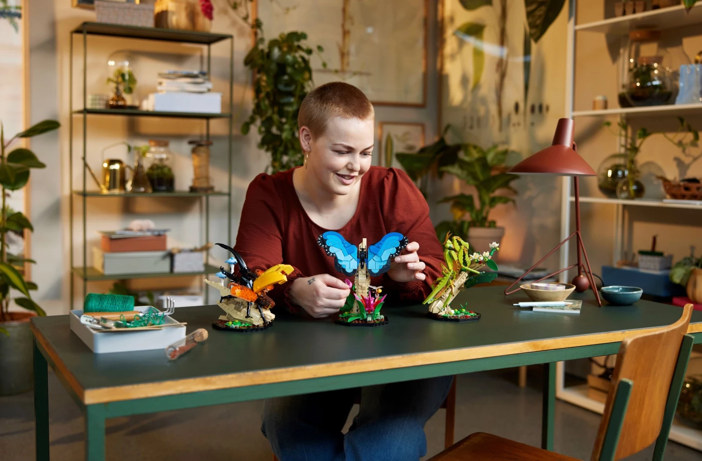 De insectencollectie