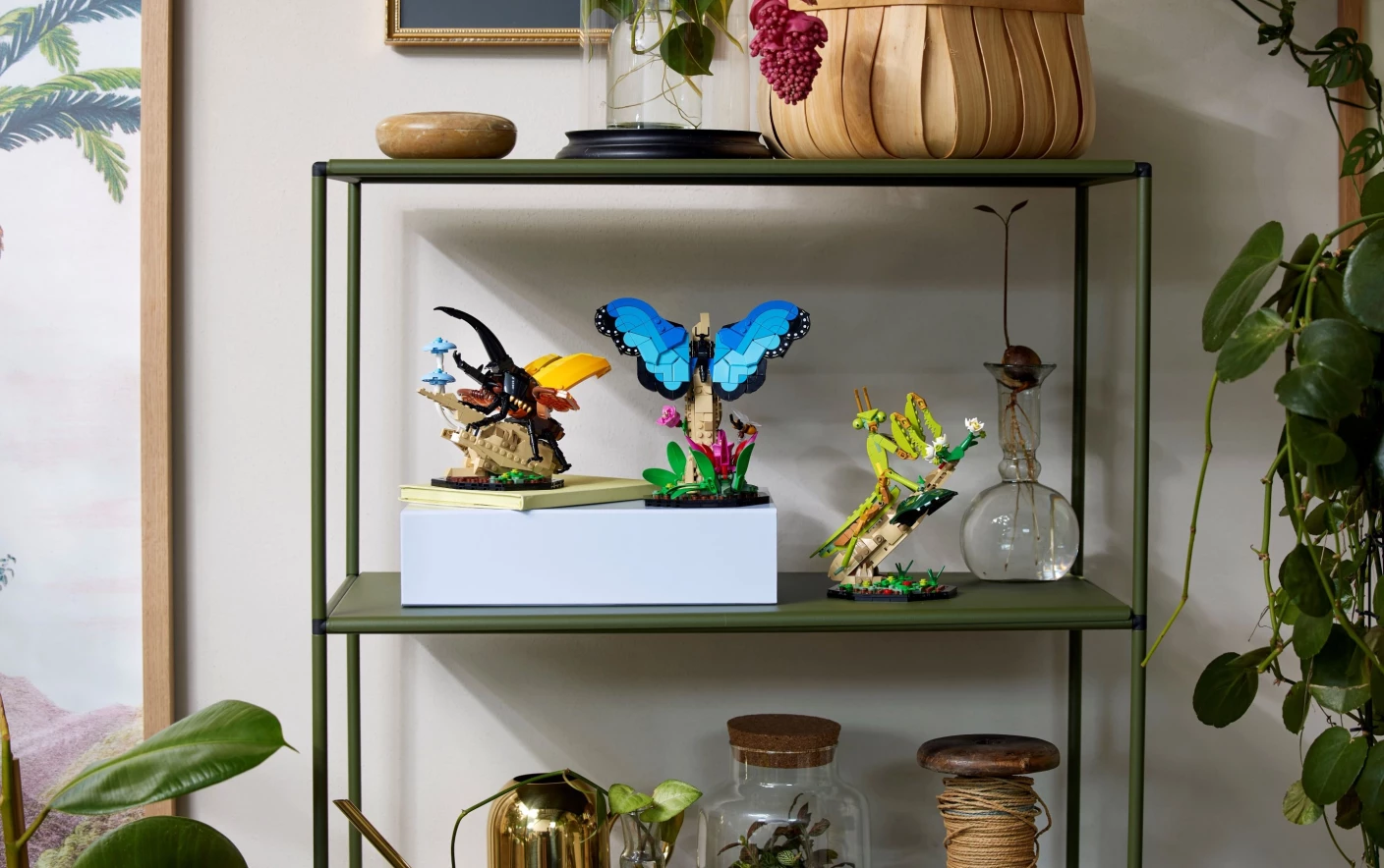 De insectencollectie