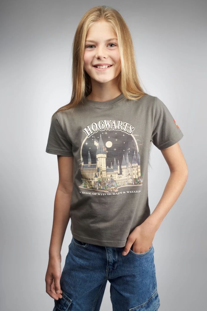 Harry Potter™ T-shirt – grijs