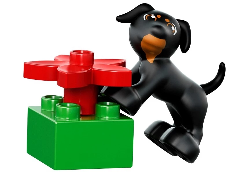 LEGO® DUPLO® alles-in-één doos