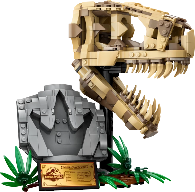 Dinosaurusfossielen: T. rex schedel