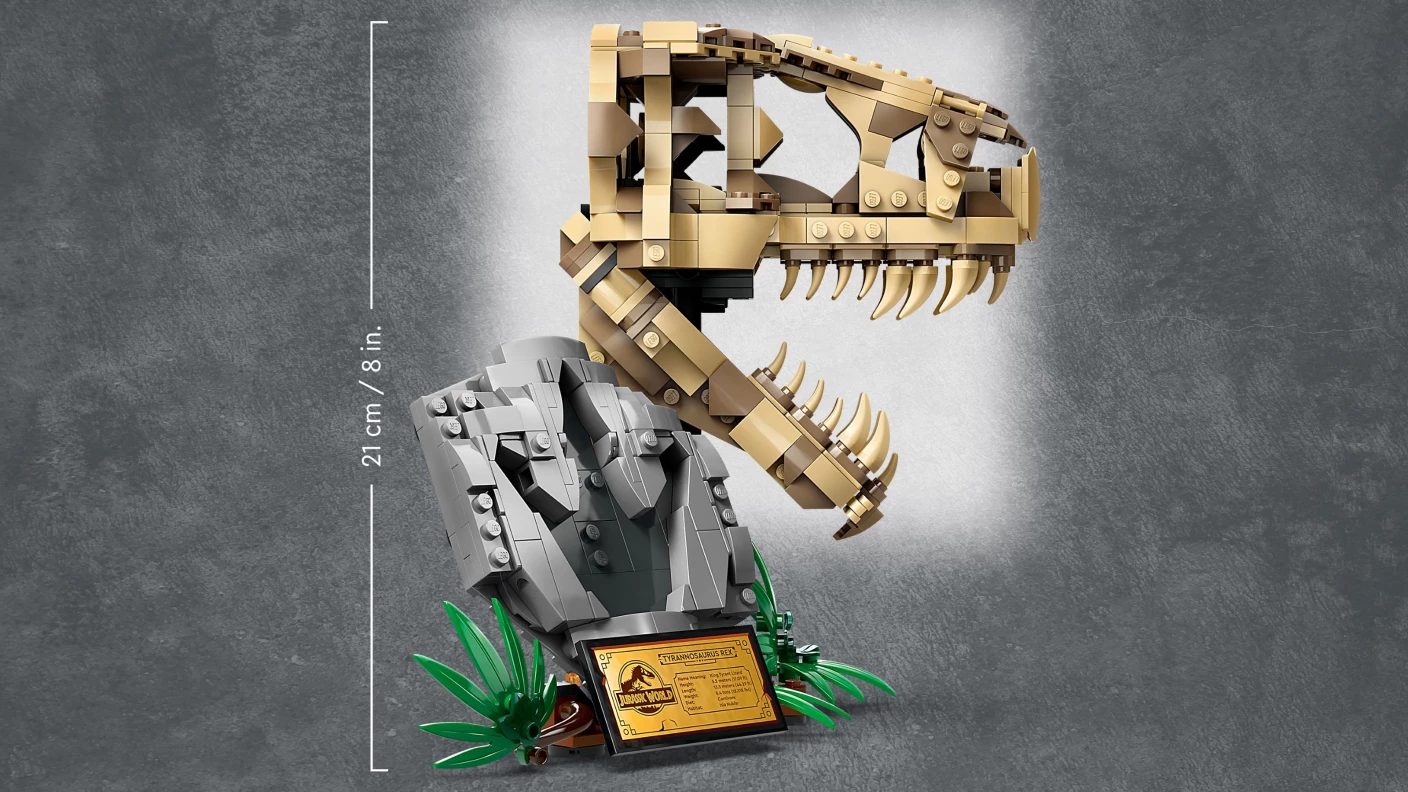 Dinosaurusfossielen: T. rex schedel