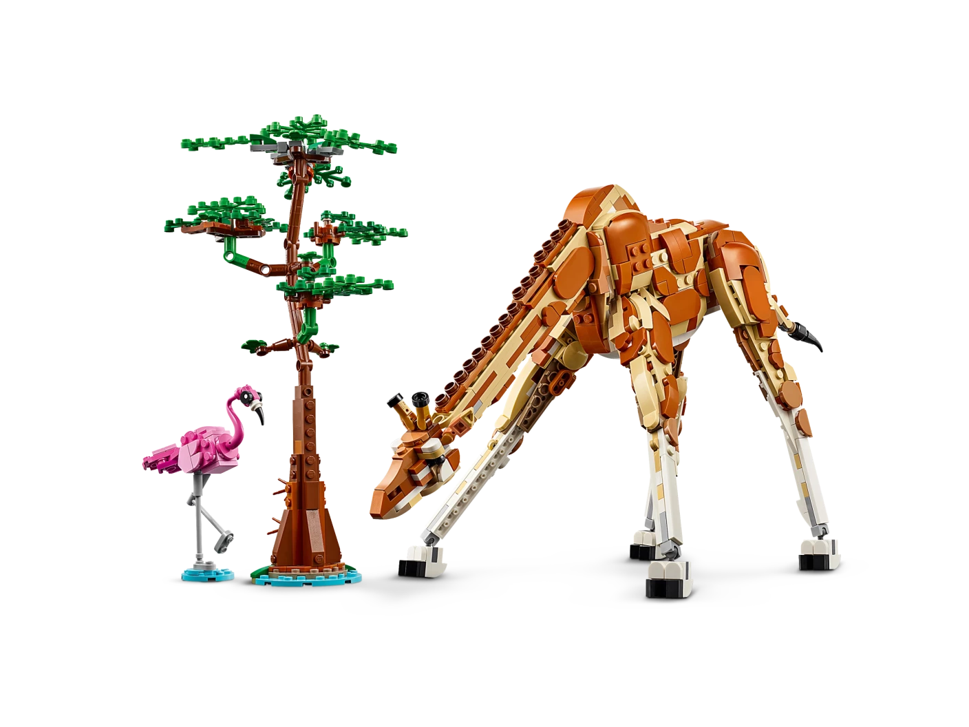 Safaridieren