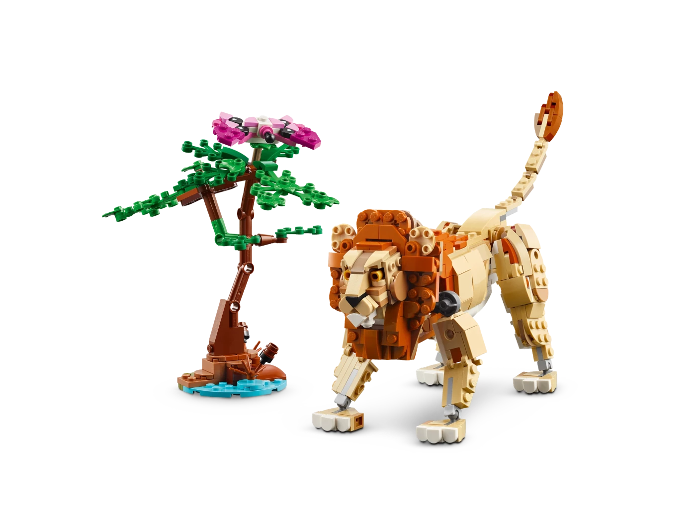 Safaridieren