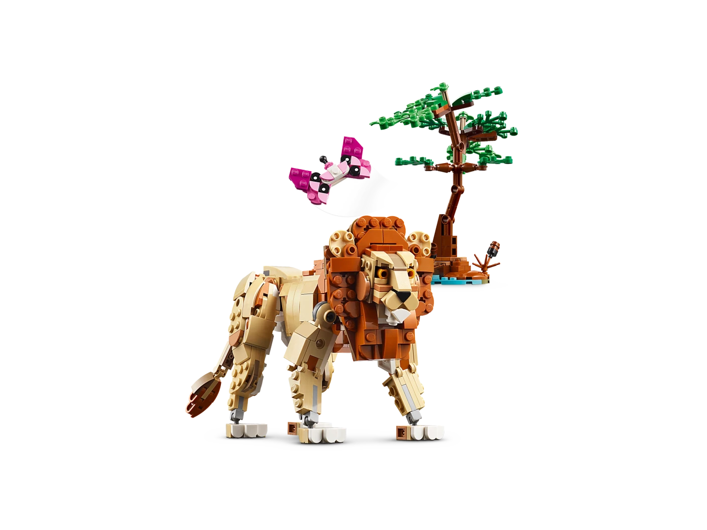 Safaridieren