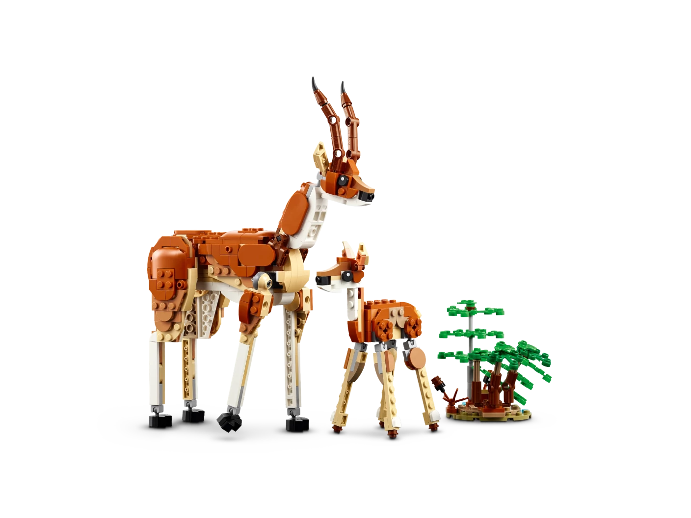 Safaridieren