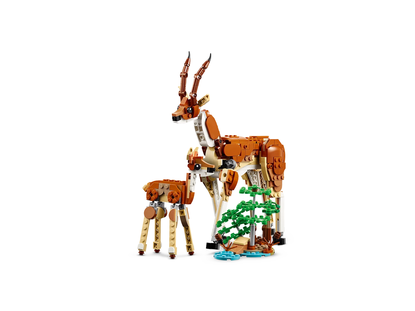 Safaridieren