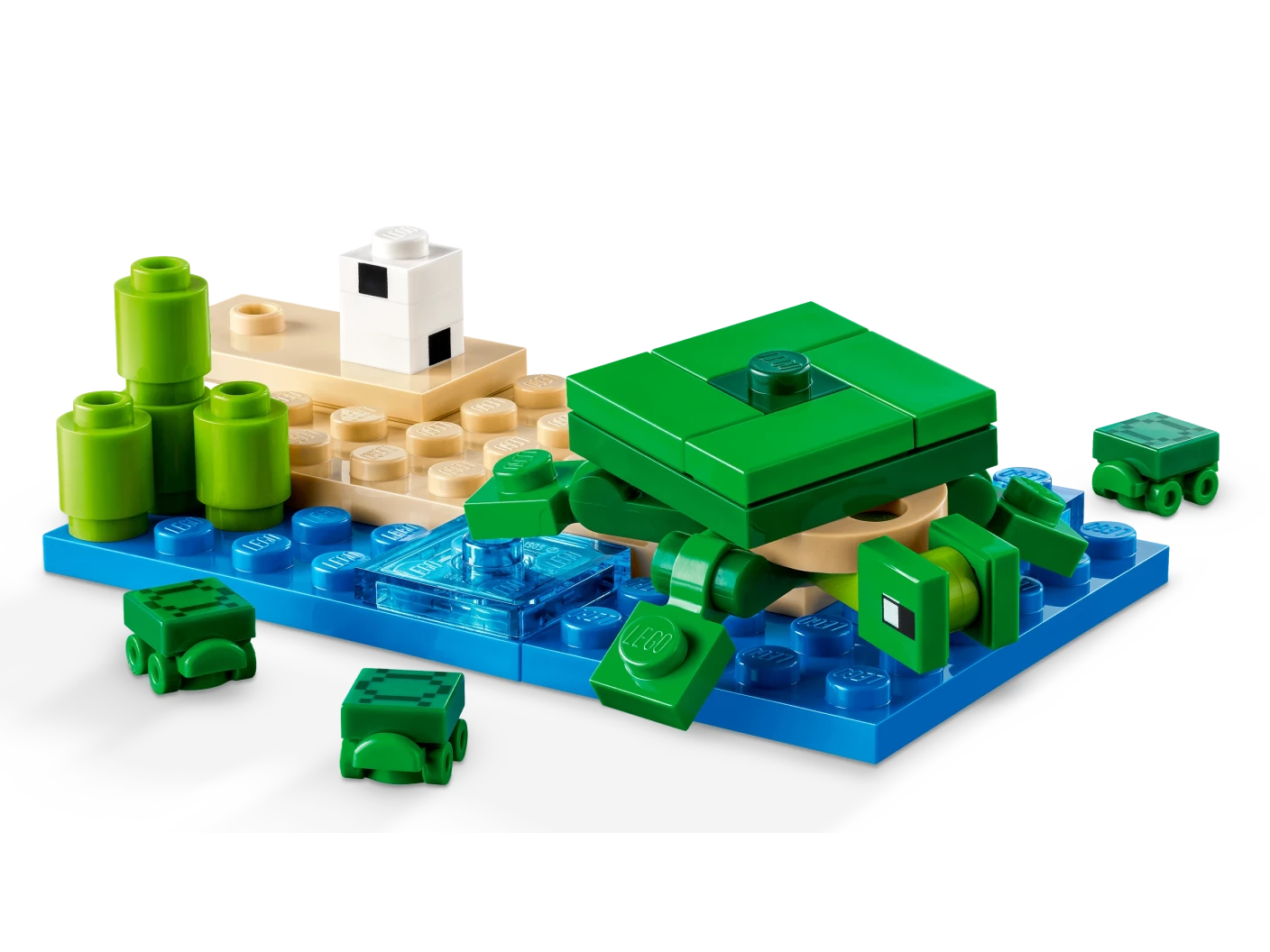 Het schildpadstrandhuis