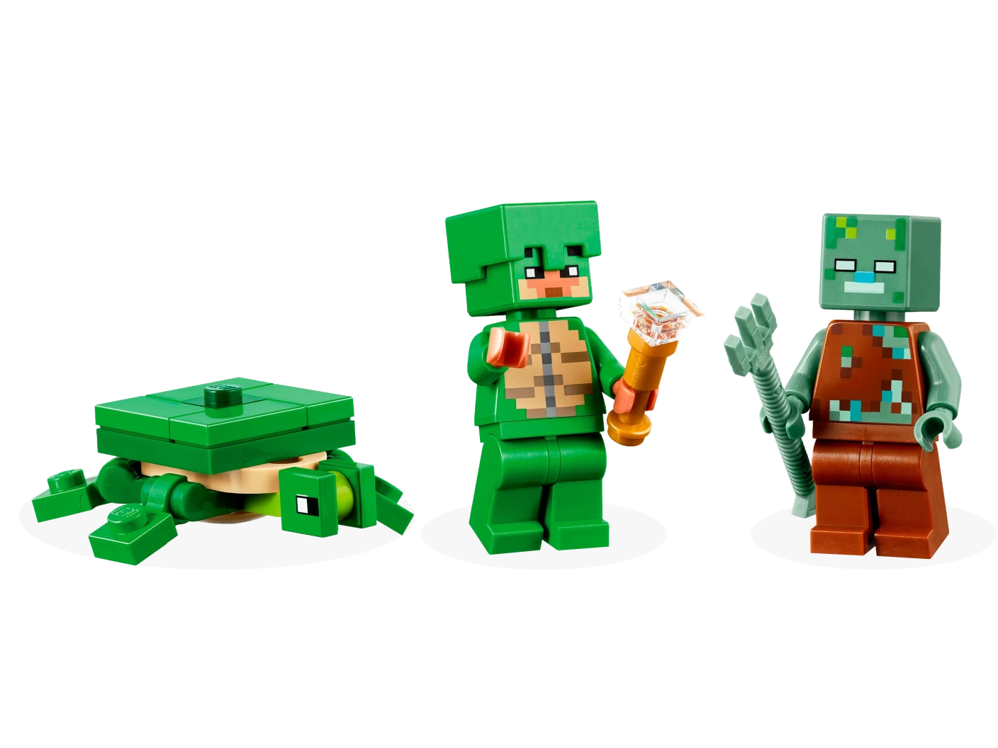 Het schildpadstrandhuis