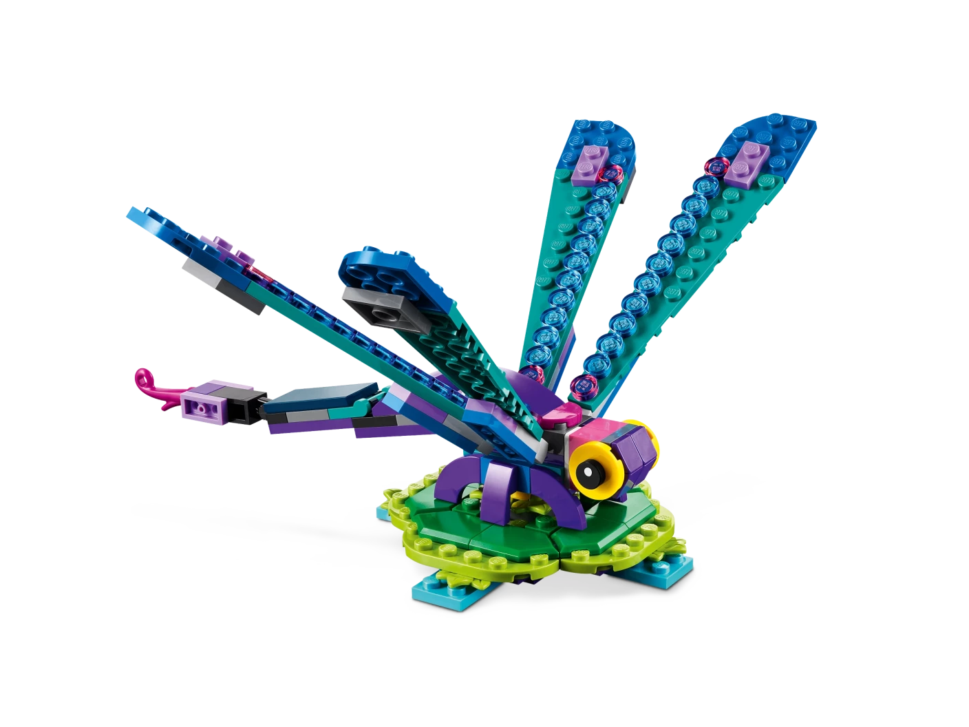 Exotische pauw