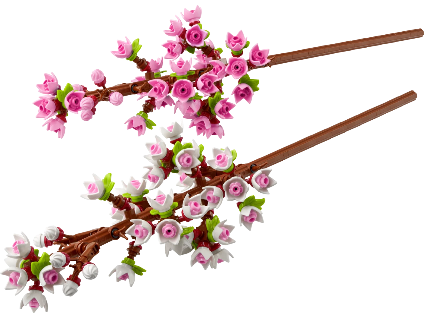 Kersenbloesems