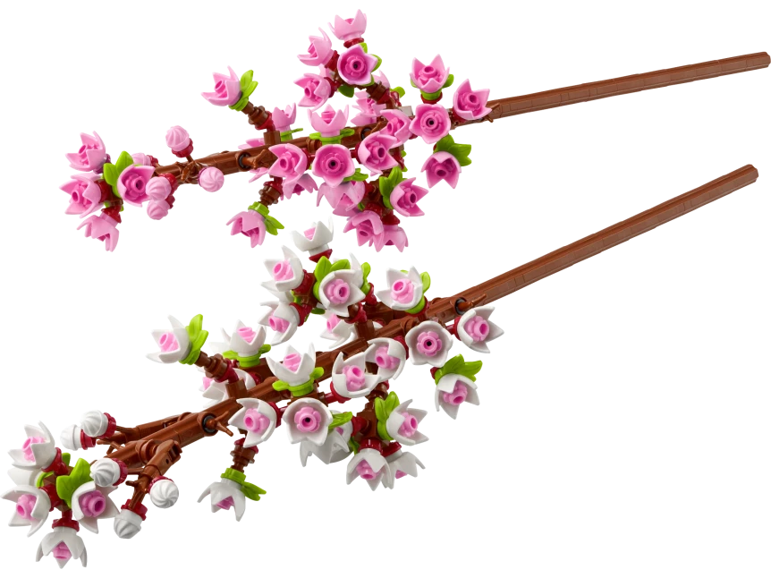 Kersenbloesems