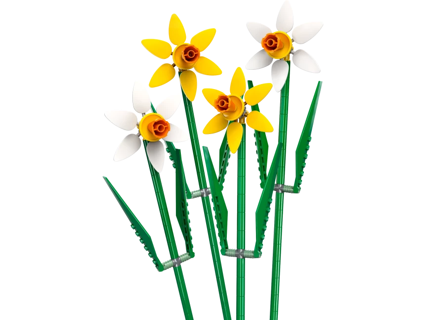 Narcissen