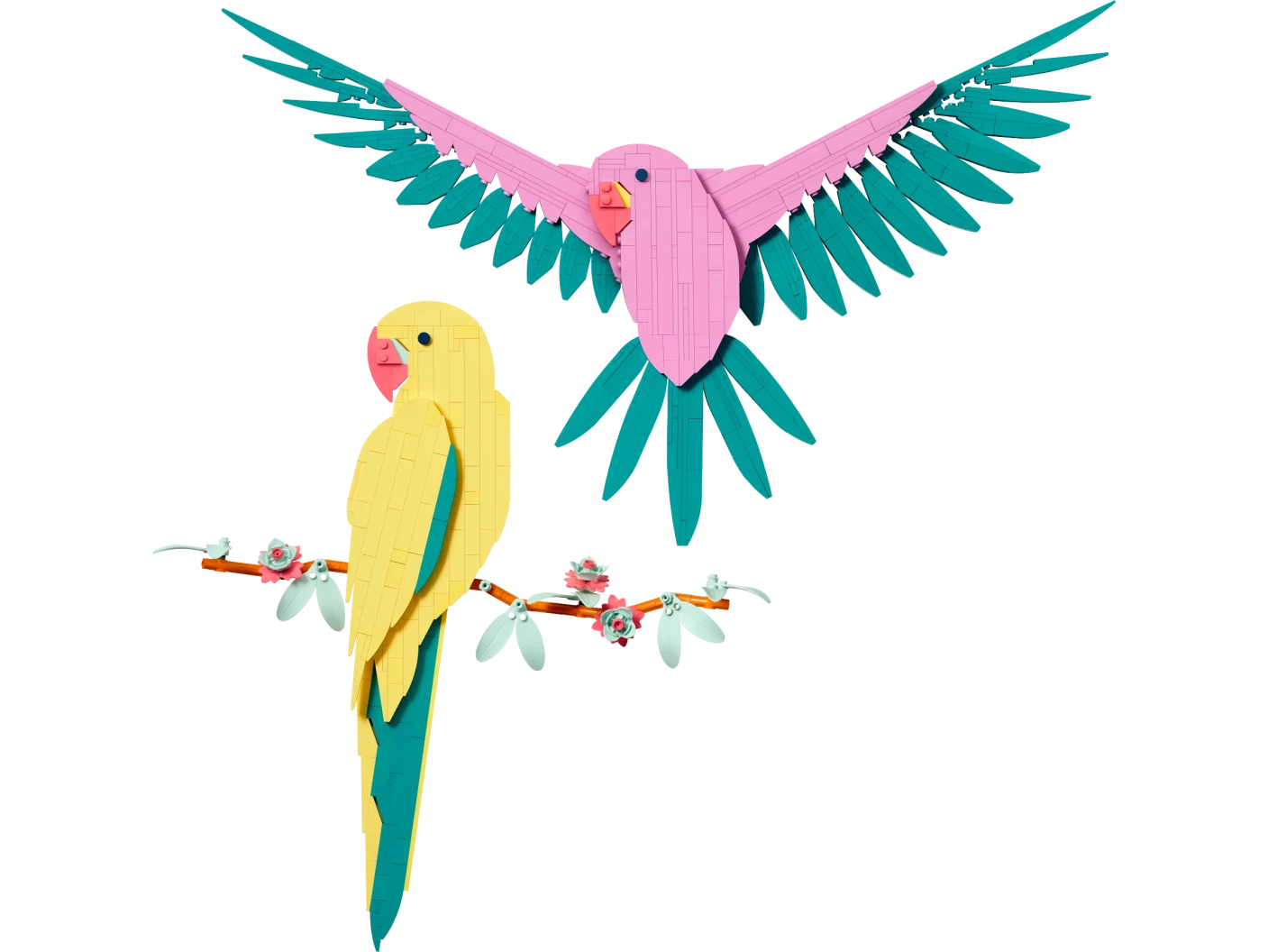 De Faunacollectie – Kleurrijke papegaaien