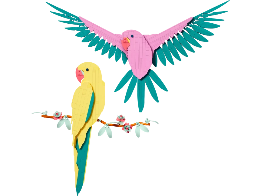 De Faunacollectie – Kleurrijke papegaaien