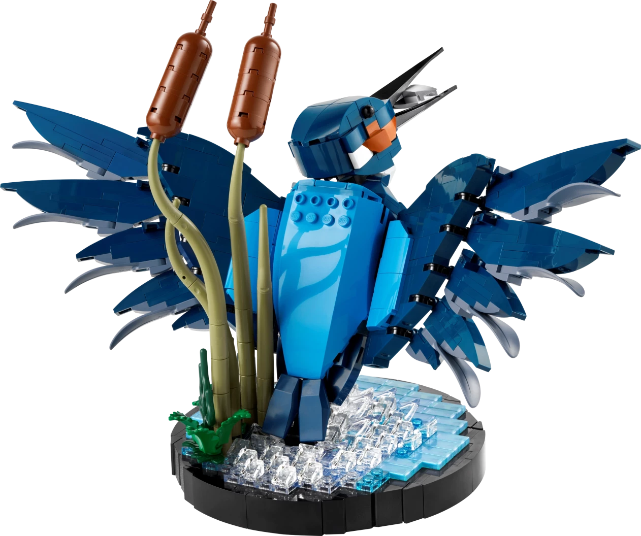 IJsvogel
