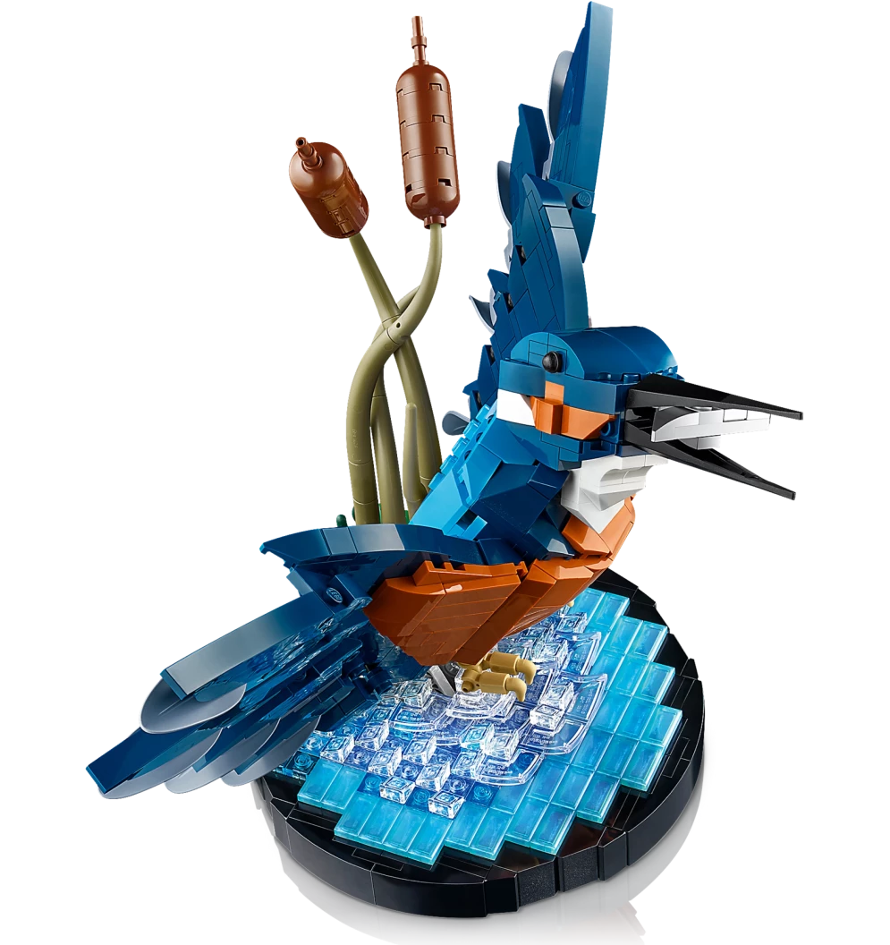 IJsvogel