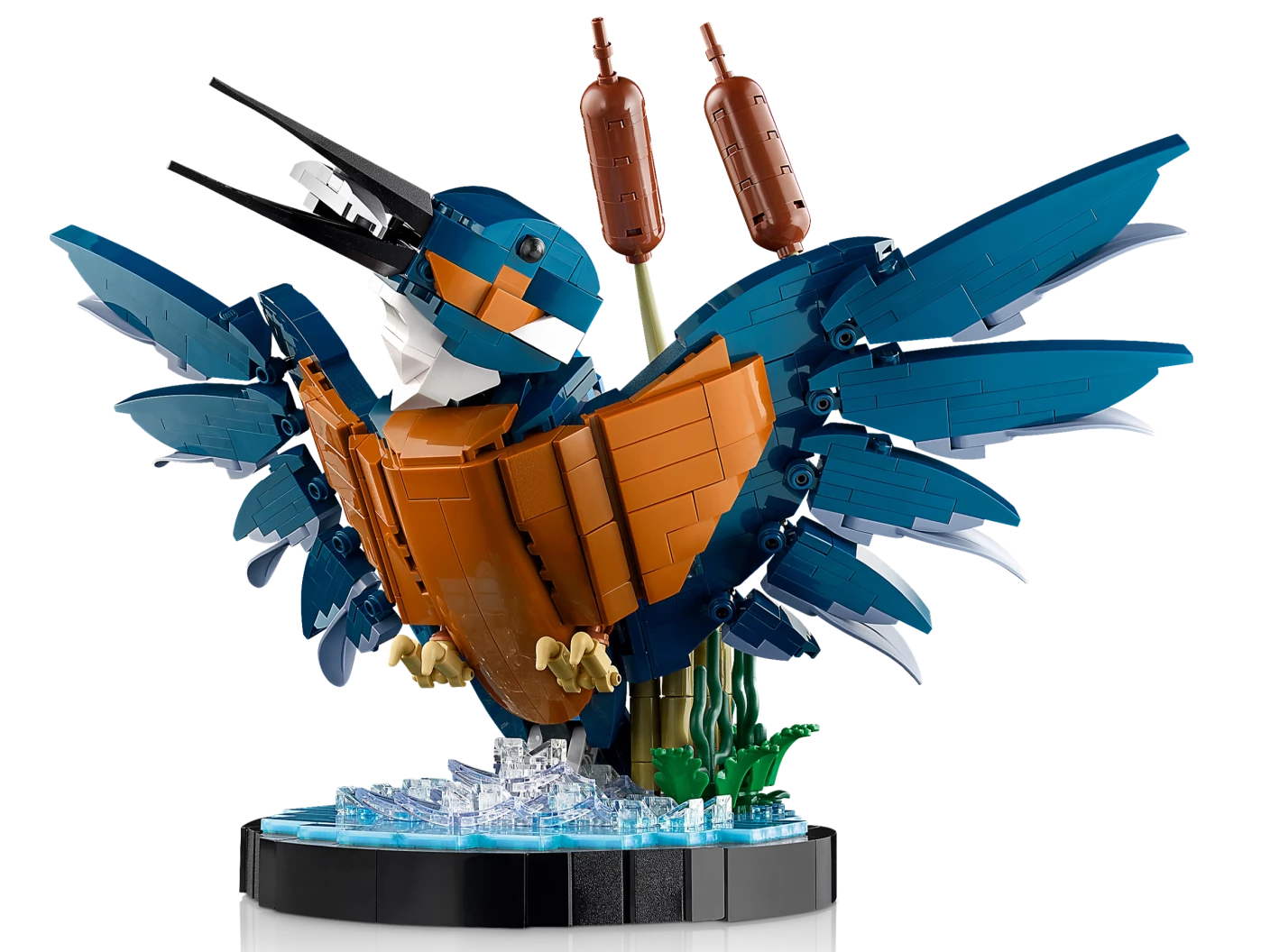 IJsvogel