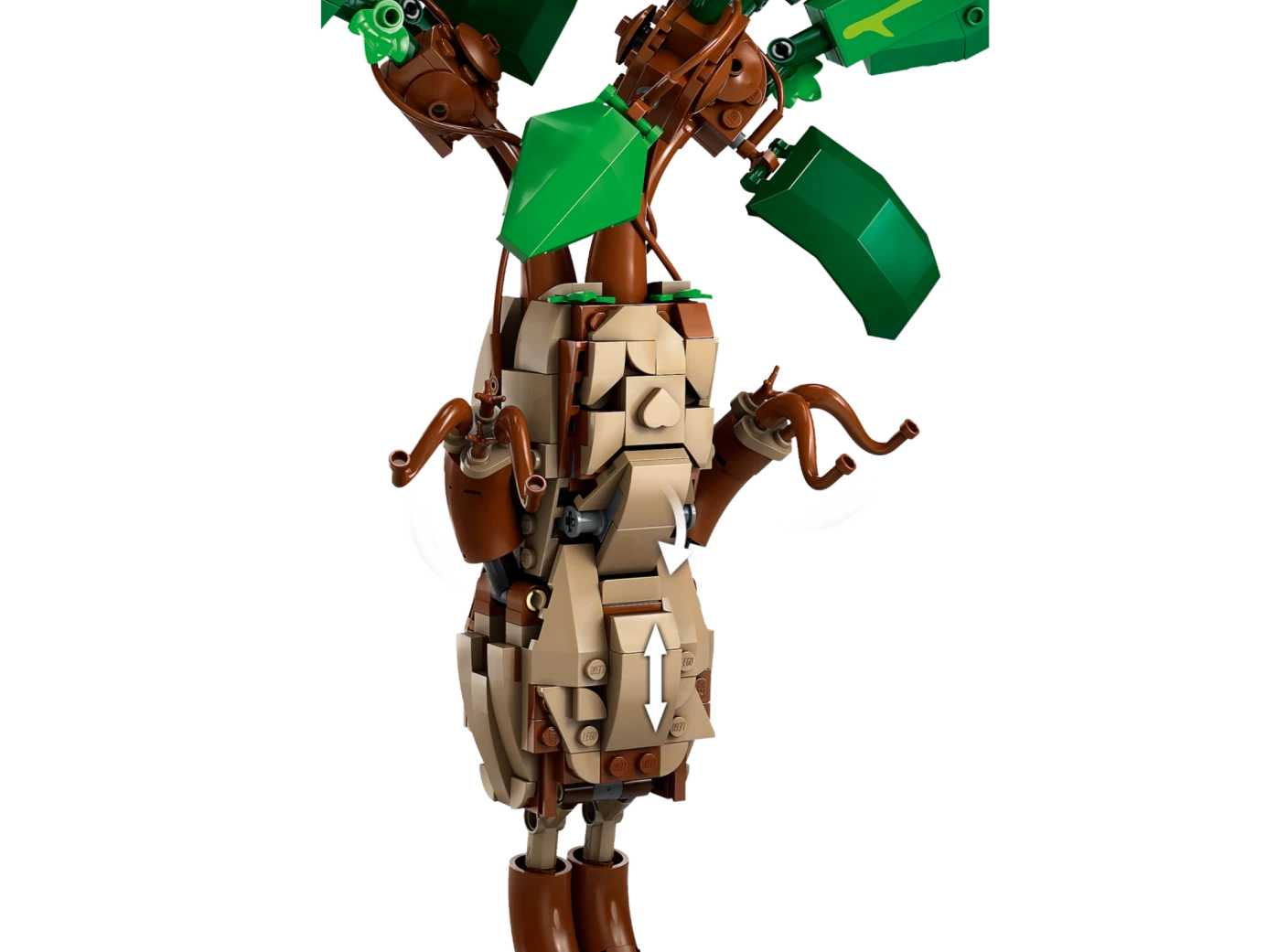 Mandragora