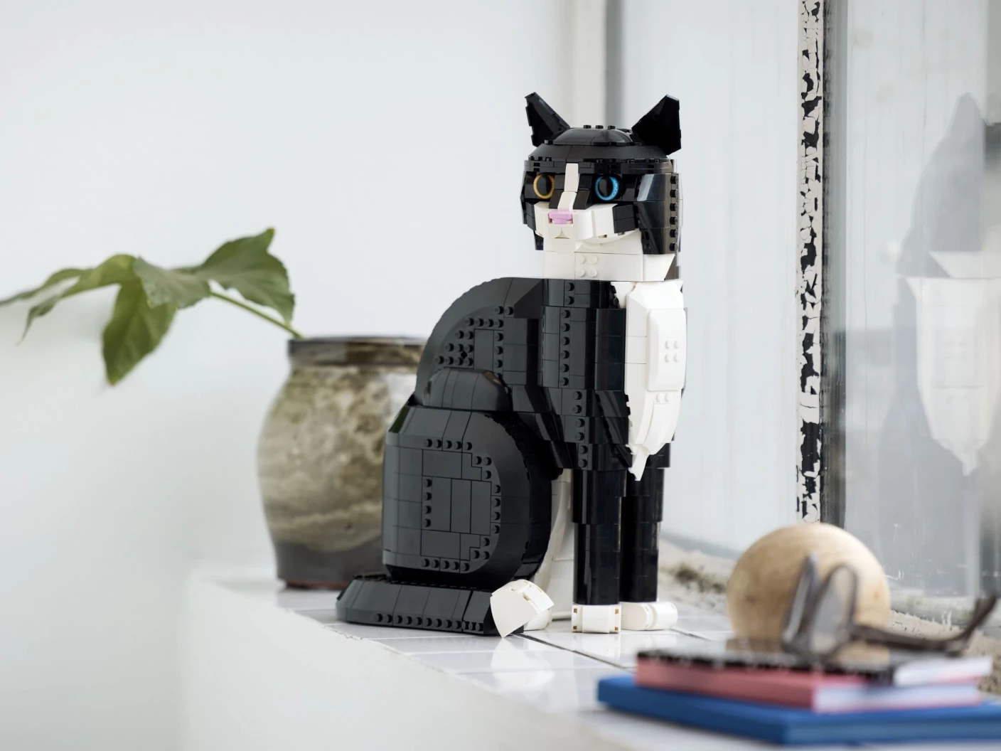 Zwart-witte kat