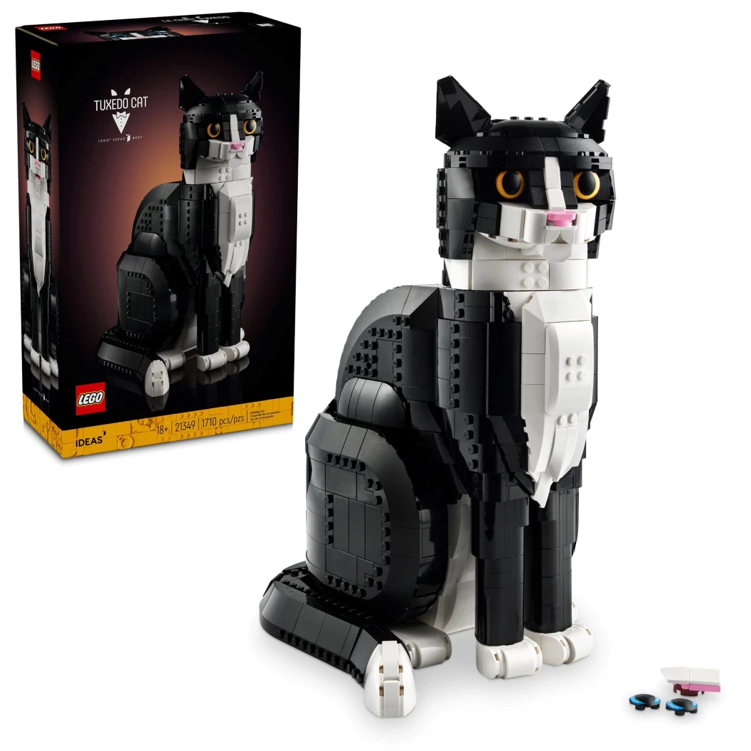 Zwart-witte kat