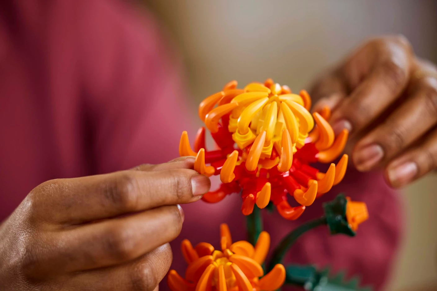 Chrysant