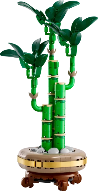 Bamboe