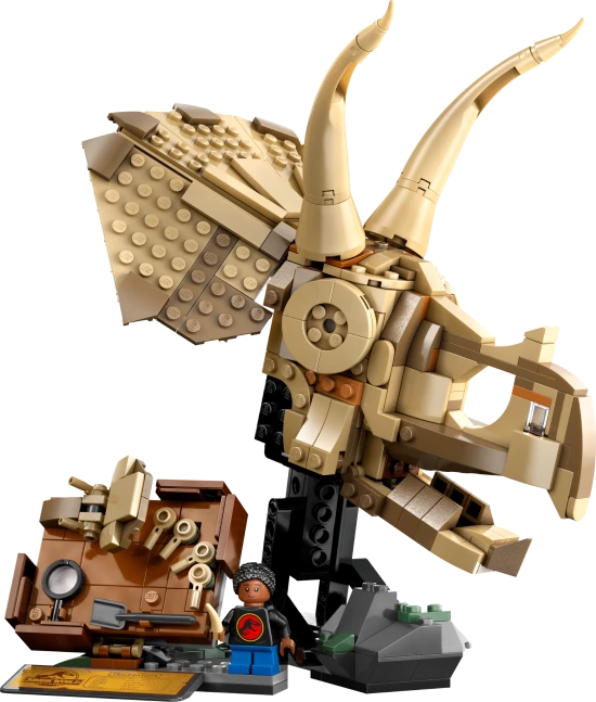 Dinosaurusfossielen: Triceratops schedel