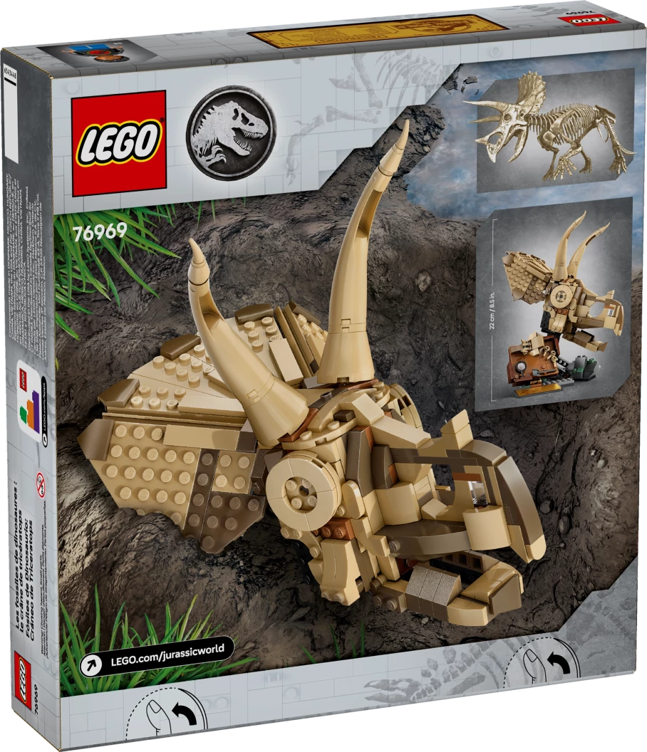 Dinosaurusfossielen: Triceratops schedel
